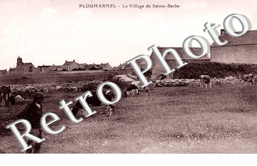 (sans légende)