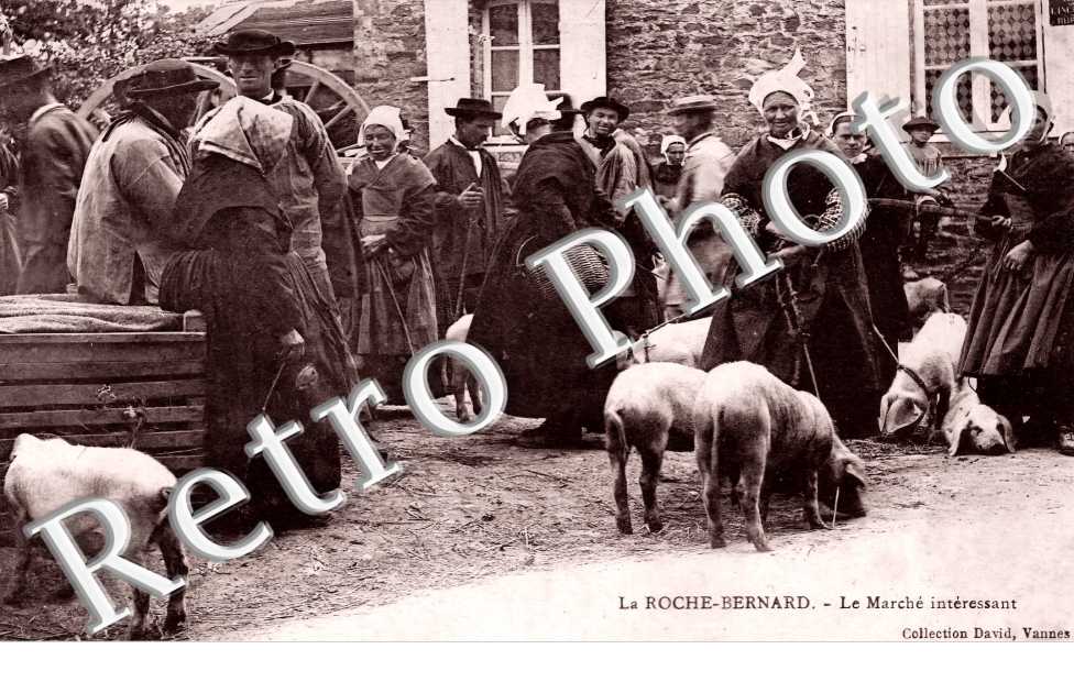 (sans légende)