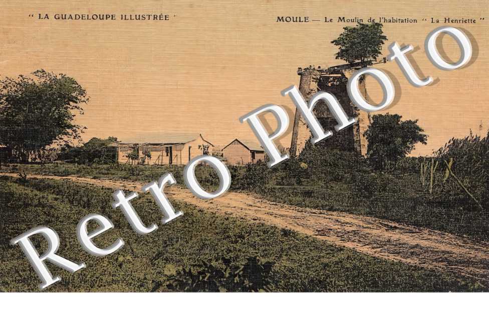 (sans légende)