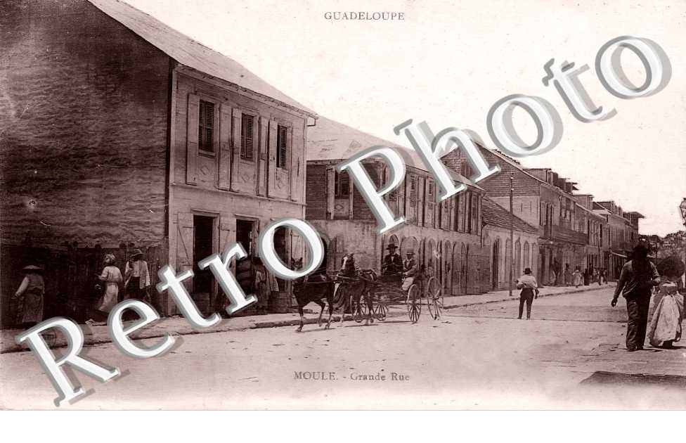 (sans légende)