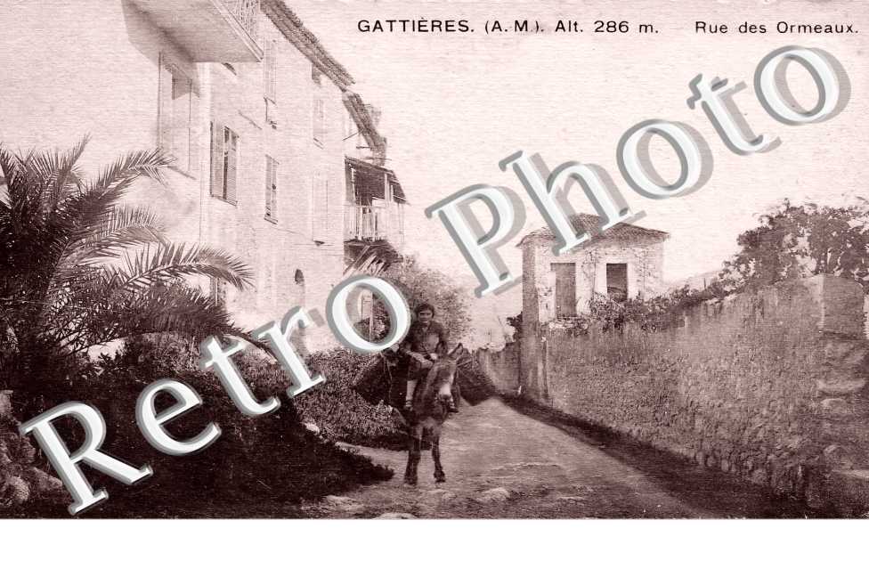 (sans légende)