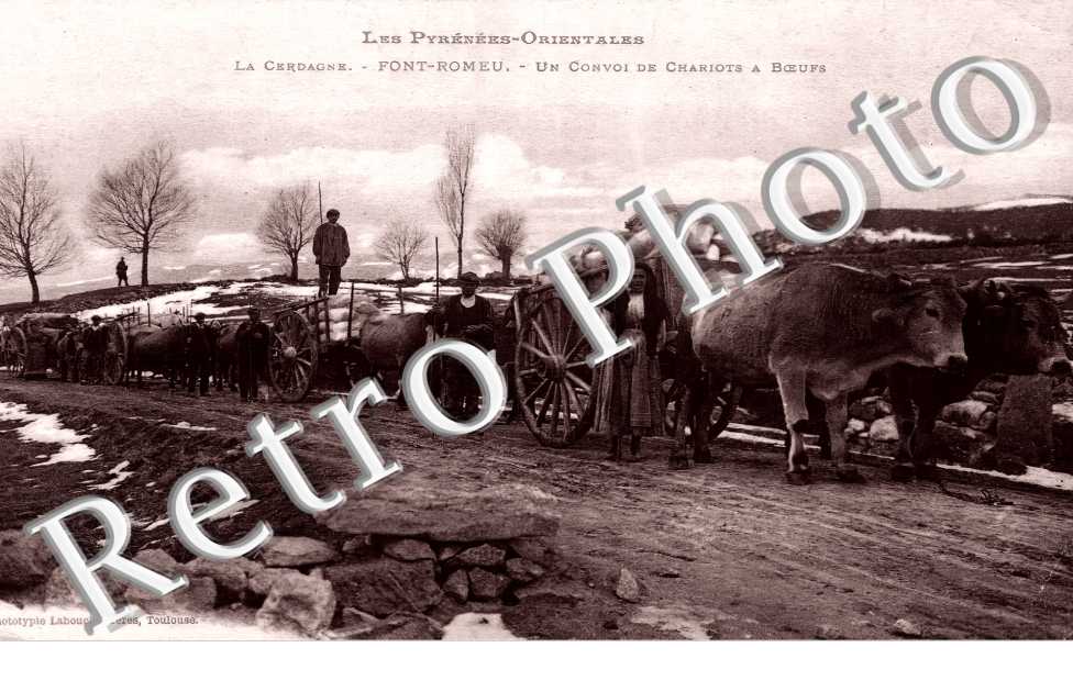 (sans légende)
