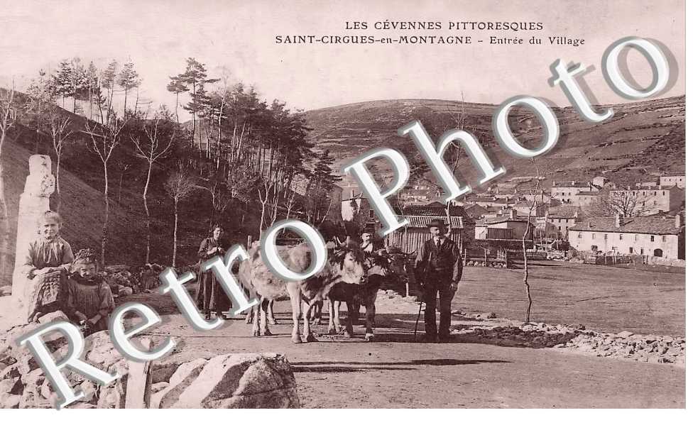 (sans légende)