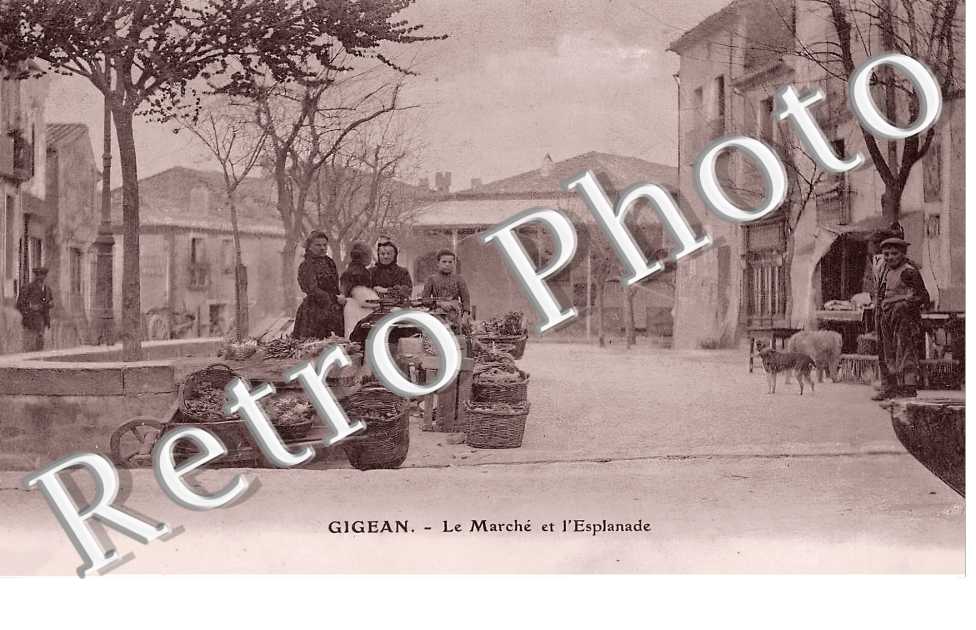 (sans légende)
