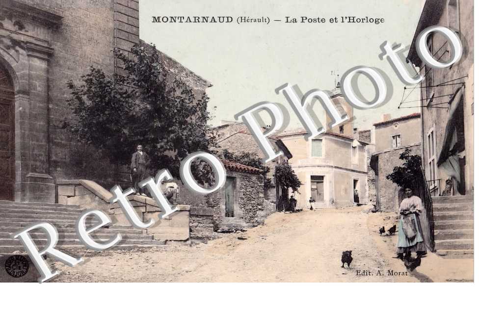 (sans légende)