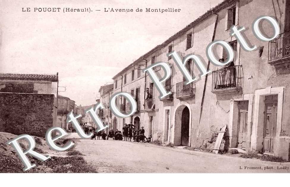 (sans légende)