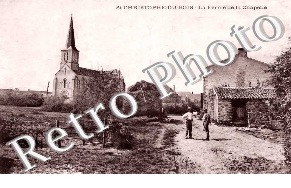 (sans légende)